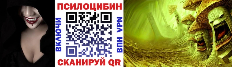 закладки  Осташков  площадка как зайти  Галлюциногенные грибы мицелий 